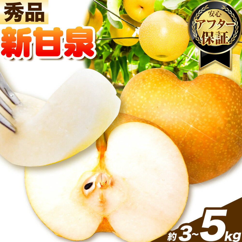 【ふるさと納税】【秀品(赤秀)】先行予約 新甘泉 約3kg (5~11玉) 約5kg (9~20玉) 《2026年8月下旬-9月下旬頃出荷》鳥取県 八頭町 梨 なし 果物 フルーツ 特産品 秀品 赤秀 贈答用 先行予約 送料無料 果汁 デザート