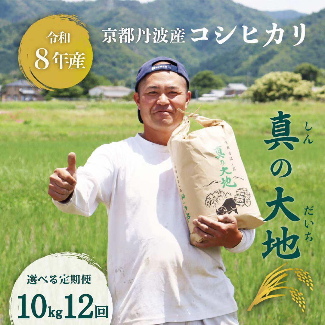 定期便 令和8年産 京都丹波産 コシヒカリ 10kg 12回 京都 お米 米 令和8年 10キロ 新米 新米26