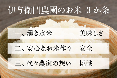 【令和4年産】《福井県初！》農家直送 いちほまれ 特A 精米 5kg×2袋（計10kg）／ 減農薬 高品質 鮮度抜群 あわら市熊坂産 ブランド米 白米 ＜出荷直前精米でお届け！＞