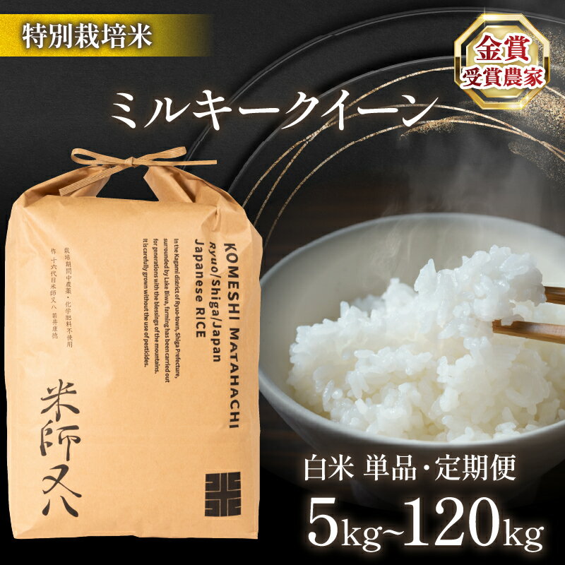 【ふるさと納税】 令和7年産 新米 ミルキークイーン 選べる 【 容量 】【 回数 】 5kg 10kg 20kg 30kg 1回 6回 12回 白米 ( ブランド 米 rice 精米 ご飯 内祝い 十六代目米師又八 謹製 もちもち 国産 送料無料 滋賀県 農家直送 竜王 ふるさと納税 )