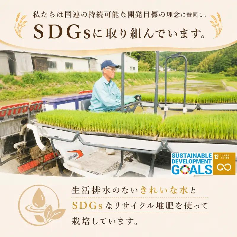 【先行予約】 コシヒカリ 10kg (5kg×2箱) 無洗米 令和8年産 【10月以降順次発送】 山口県産 特別栽培エコ50 (化学農薬・肥料50％以上削減/精米まで一貫加工)  《内日三町：DZ》