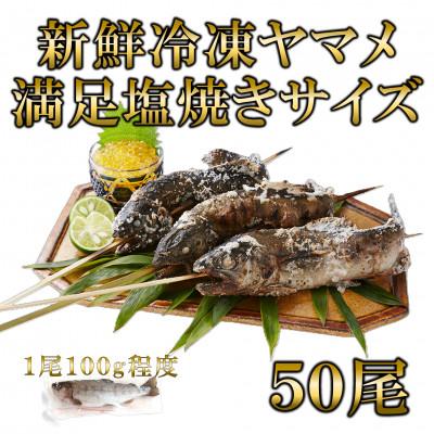 ふるさと納税 三股町 新鮮冷凍ヤマメ塩焼きサイズ約100g×50尾【MI773】