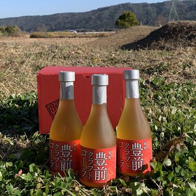 ふるさと納税 豊前市 豊前クラフトコーラ300ml3本セット