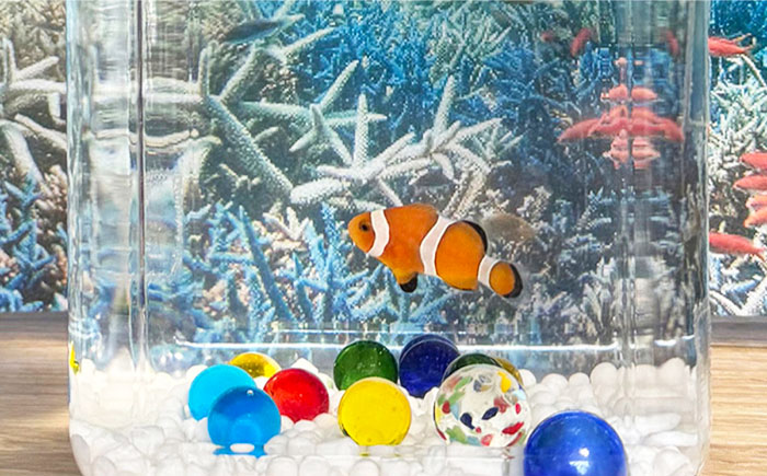 水槽 カクレクマノミ 飼育セット ボトルアクアリウムマリン2（キットのみ） 水槽 自由研究 ペット  安全な人工海水 広島県福山市/株式会社ウォーターエンジニアリング [BACD002]