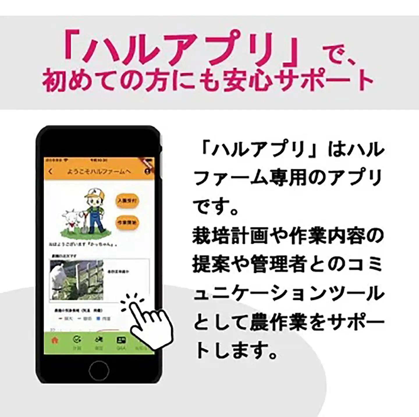 市民農園 ハルファーム 利用券 (5㎡ 1年分)【農園】