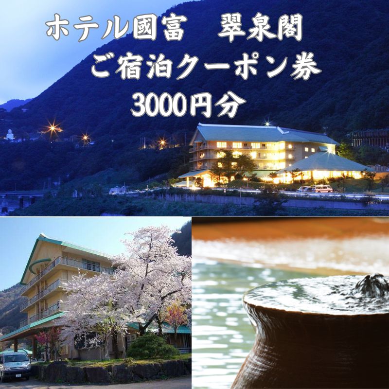 【ふるさと納税】ホテル國富 翠泉閣 宿泊クーポン券 3,000円分 新潟県 糸魚川市 温泉 源泉かけ流し 國富 秘湯 長野県境 姫川温泉 旅行 観光 宿泊補助券 糸魚川 【能登半島地震復興支援】