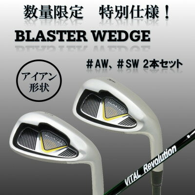 【ふるさと納税】ゴルフクラブ ウェッジ BLASTER #AW #SW 2本セット フレックスR 特別仕様【1726041】