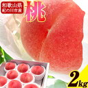 【ふるさと納税】和歌山の桃 約2kg(5-8玉) strong peach《2025年6月末頃-8月末頃出荷》和歌山県 紀の川市 桃 もも紀の川市産 2kg