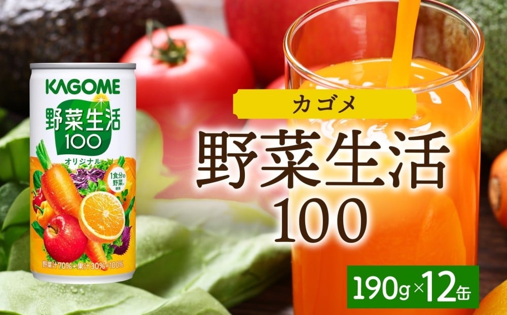
            野菜生活１００オリジナル190g×12 ns038-045 【缶 野菜ジュース 果実 ミックスジュース オリジナル フルーティー β-カロテン KAGOME】
          