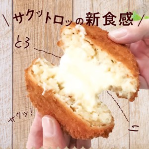 北海道産コク旨チーズのコロッケ（KBS） 箱 80g×5個×12袋 冷凍食品_M06-0002