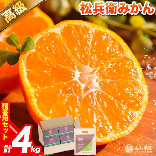 【ふるさと納税】【先行予約】主井農園 の 高級 松兵衛 みかん (贈答用)セット約1kg×4箱 手さげ紙袋付き《11月中旬-2月上旬頃出荷》主井農園 みかん ミカン 蜜柑 柑橘 果物 フルーツ
