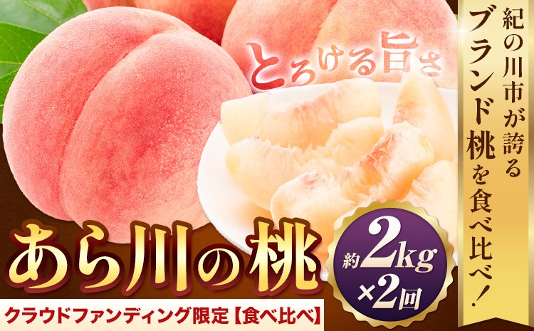
             桃【アフター保証付】トロっと とろける旨さ ブランド桃 あら川の桃 食べ比べ定期便 約2kg ×2回 お届け《2026年6月中旬-8月中旬頃出荷》【一部配送不可地域あり】 寄附の使い道は「クラウドファンディング」を選択してください。
          