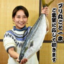 【ふるさと納税】［日時指定必須］いずみや鮮魚店のブリ丸ごと一本 [0050-0049]