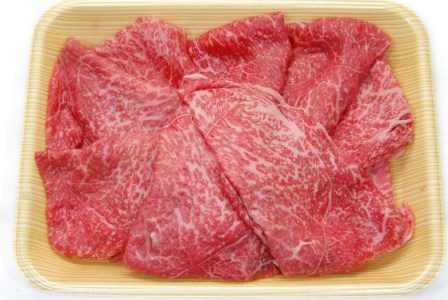 飛騨市産 5等級飛騨牛 しゃぶしゃぶ用 500g ギフト お中元 お歳暮[Q355]