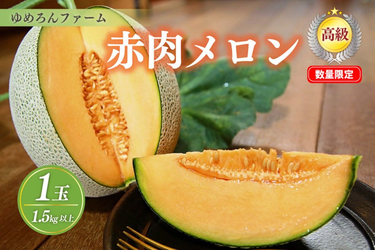【先行予約／数量限定100】ゆめろんファームの赤肉メロン（2026年6月上旬～発送）　DE00154