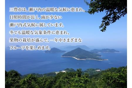 【2025年　先行予約】三豊市産【市場直送 デコポン 5ｋｇ以上】_M64-0017