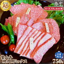 【ふるさと納税】No.146 【葉山牛】750g　焼肉用ミックス（ロース、モモ、カルビ等） ／ お肉 黒毛和牛 牛肉 A5ランク 牧場直営 送料無料 神奈川県