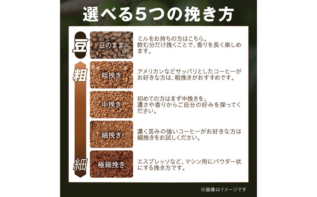 【栽培期間中農薬不使用】自家焙煎コーヒー豆 ホンジュラス　コパン 500g（250g×2） 約50杯分 小分け　豆・粉 選べる 飲料 珈琲 こーひー コーヒー coffee　HA00033