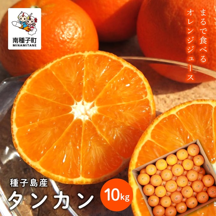 【ふるさと納税】 《 先行予約 》《 2026年2月中旬〜3月中旬頃順次発送 》種子島産タンカン 約 10kg ( 約65玉 ) タンカン たんかん オレンジ ぽんかん 柑橘 果物 フルーツ グルメ お取り寄せ お正月 人気 返礼品 南種子町 鹿児島 かごしま 【南種子町果樹部会】