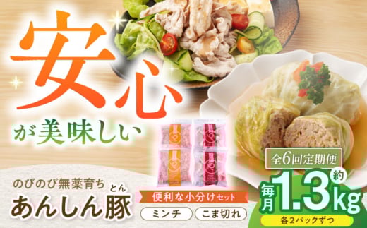 【6回定期便】あんしん豚 バラ凍結 ミンチ＆小間セット 豚肉 小分け 国産 白川町 / 藤井ファーム [AWAF020]