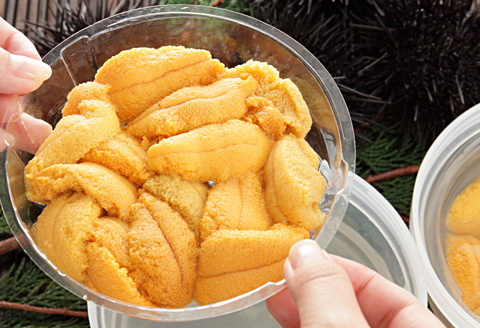 ムラサキウニ塩水パック110～120g×2P B-24008
