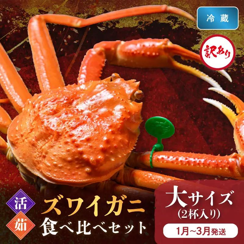 訳あり【蟹の匠 魚政】京丹後産 ズワイガニ 食べ比べセット〈活×茹〉大サイズ2杯入り（1月～3月発送）