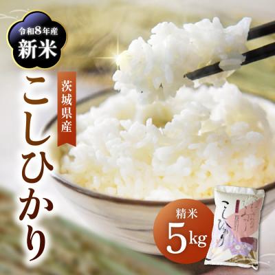 ふるさと納税 かすみがうら市 令和8年産 新米 コシヒカリ 精米  5kg | こしひかり お米  茨城県かすみがうら市産