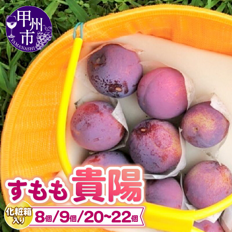 【ふるさと納税】 すもも 貴陽 大玉 8玉～22玉 選べる内容量 約1.35kg～約2.8kg 山梨県産 フルーツ 果物 完熟 甘い くだもの スモモ 冷蔵 発送 期間限定 数量限定 化粧箱入り 観光果樹園 童夢 家庭用 ギフト 贈答用 2025年発送 山梨県 甲州市 （DOM）