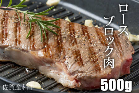 佐賀産和牛ロースブロック肉（500g）潮風F C255-003