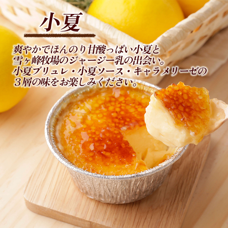 アイスブリュレセットC 8個（ジャージー乳、小夏 各4個） クレーム ブリュレ キャラメル プリン クレームブリュレ おやつ お菓子 スイーツ スウィーツ 贈答 贈り物 ギフト プレゼント 送料無料 