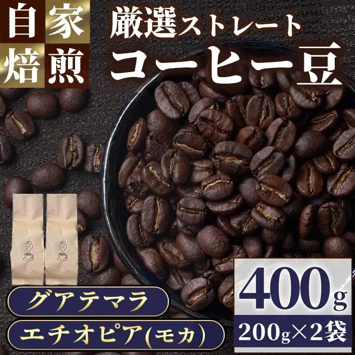 自家焙煎コーヒー豆　厳選ストレート2種400g（グアテマラ200g・エチオピア200g） モカ 珈琲 飲料 ドリンク アウトドア キャンプ おうち時間【BC001】【Backrest Coffee】
