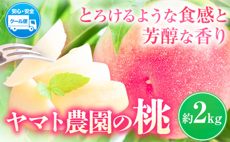 モモ もも 2kg ヤマト農園 【配送不可地域あり】 桃