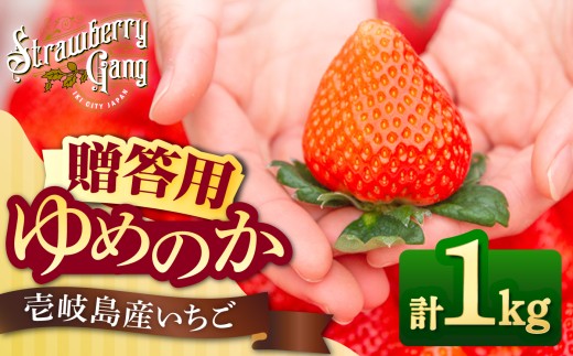 【先行予約】【贈答用】ゆめのか 約1kg（250g×4パック）【2027年1月以降順次発送】《壱岐市》【Strawberry Gang】 [JEM001] セット いちご イチゴ 苺 定期便 果物 フルーツ スムージー 春の味覚 15000 15000円