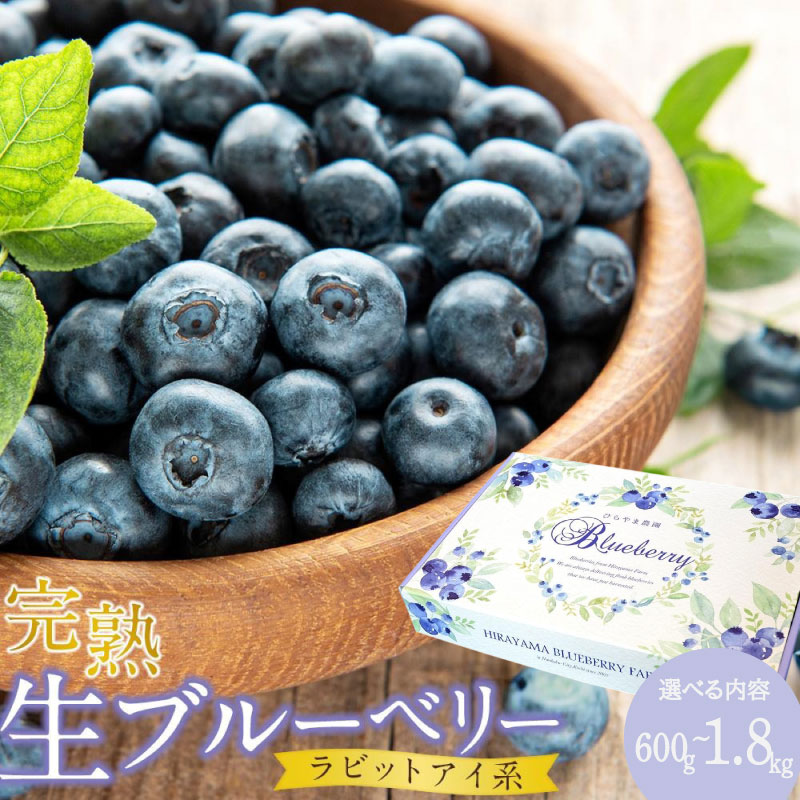 【ふるさと納税】 ブルーベリー 完熟生ブルーベリー ラビットアイ系 農家直送 贈答用 600g 1200g 訳あり 900g 1800g 2026年発送 早期予約 土佐ひらやま農園 フルーツ 果物 くだもの 食品 人気 おすすめ 高知県 南国市