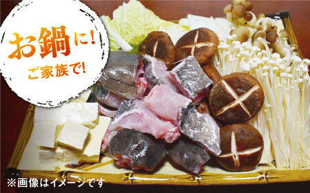 長崎県 対馬産 天然 高級魚 クエ 切身 （ アラ ） 600g【漁昇丸水産】《対馬市》 活〆 新鮮 海鮮 魚介 海の幸 急速冷凍 クエ鍋 [WBU001] コダワリクエ鍋 こだわりクエ鍋 おすすめク