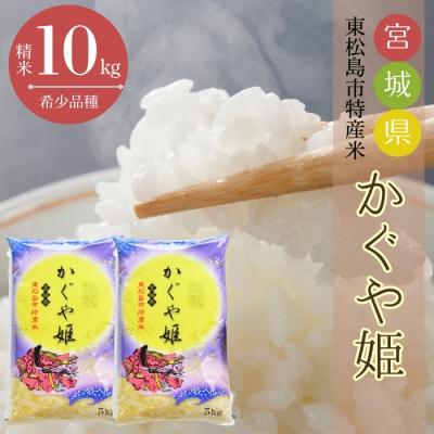 ふるさと納税 東松島市 【令和7年産】 新米 宮城県産 超稀少品種 かぐや姫 精米 10kg 宮城県 東松島市 お米 米