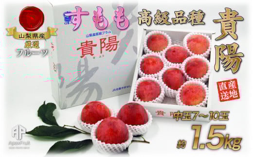 【2026年発送先行予約】厳選！南アルプス市産『貴陽』　中玉約1.5kg（7～10玉） ALPDD013