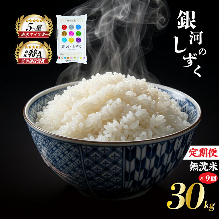 【ふるさと納税】 銀河のしずく 無洗米 30kg 5kg×6袋 米 定期便 9回 9ヶ月 連続 お届け 盛岡市産 いわて米 ブランド米 精米 白米 米 お米 こめ コメ ライス ご飯 ごはん 美味しい おすすめ贈り物 ぎんがのしずく 産地直送 盛岡 佐々木米穀店