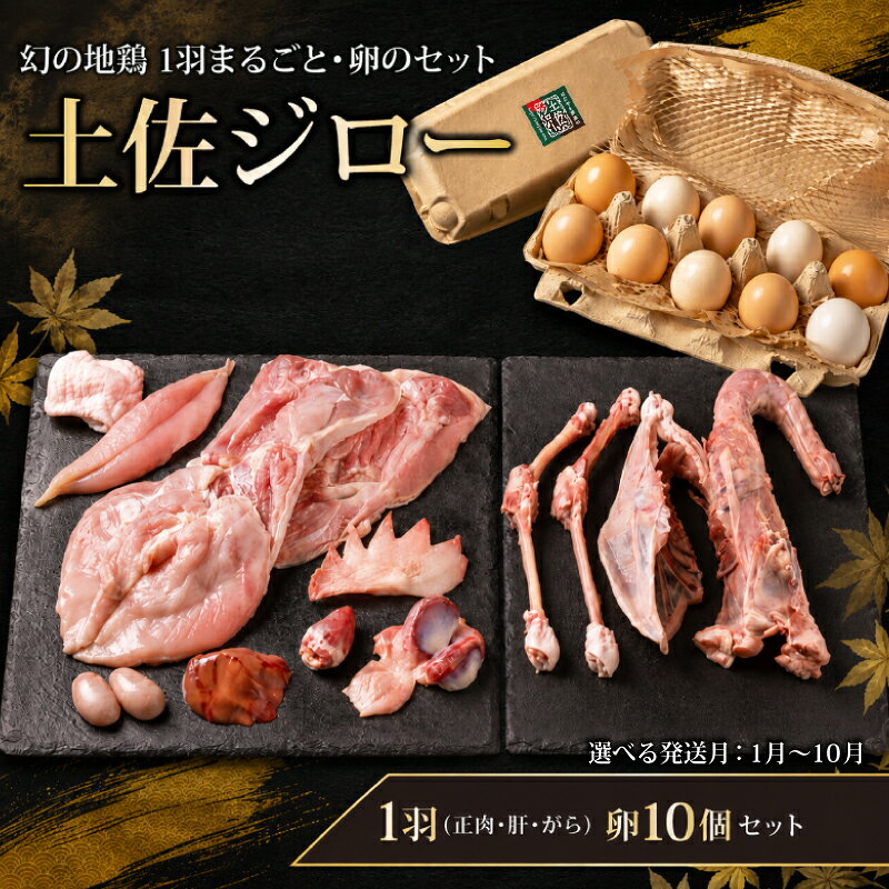 【ふるさと納税】 土佐ジロー 1羽 ( 正肉 肝 がら ) 卵 10個 セット 選べる発送月 1月〜10月 ＼満天☆青空レストラン／ メディア紹介多数 地鶏 肉 鶏肉 鶏 たまご 玉子 ブランド鶏 贈答 プレゼント ギフト 贈り物 数量限定 美味しい 人気 ご飯 はたやま夢楽 安芸市 高知県