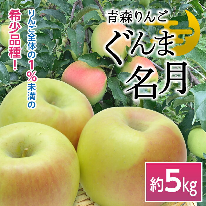 【ふるさと納税】 青森りんご ぐんま名月 約5kg（12～16玉） 【マルス果樹園】 りんご リンゴ 林檎 アップル 果物 くだもの フルーツ あおもり 青森 青森県 南部町 三戸 南部 F21U-256