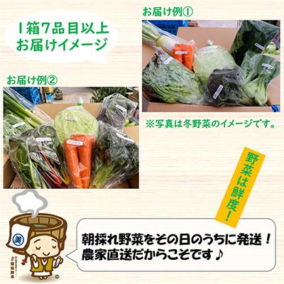 ふるさと納税 あわら市 【毎月定期便】 農家直送 旬の野菜セット 7品目以上全12回 |  | 02