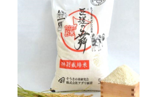 【定期便3回】 令和7年産　匝瑳の舞　精米　5kg ／ お米 米 コメ こめ ごはん ふさこがね 白米 精米 5kg チバエコ 特別栽培 新米 千葉県 匝瑳市 5kg×3回