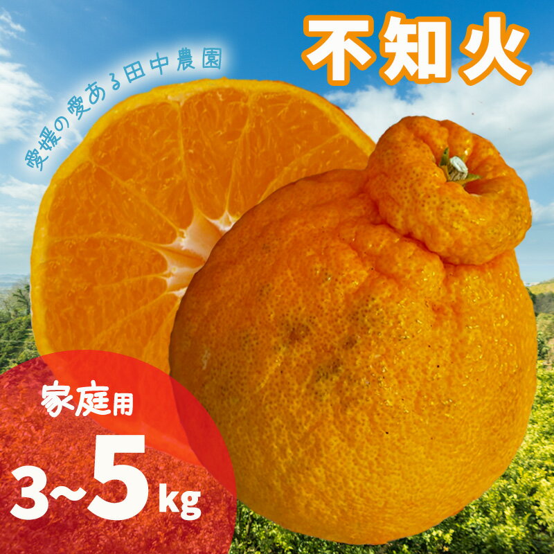 【ふるさと納税】 【2027年2月下旬頃から順次発送】不知火 しらぬい 約 3 / 5kg 家庭用 でこぽんと同品種 柑橘類フルーツ 柑橘類 果物 フルーツ みかん シラヌイ 人気 おすすめ 愛媛 松山 田中農園