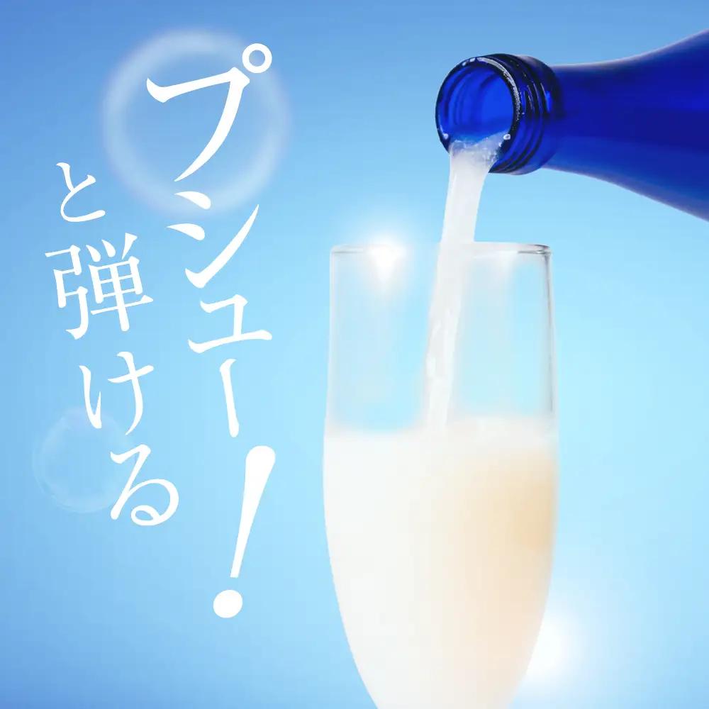 炭酸純米白川郷 泡にごり酒 500ml×2本セット｜白川郷