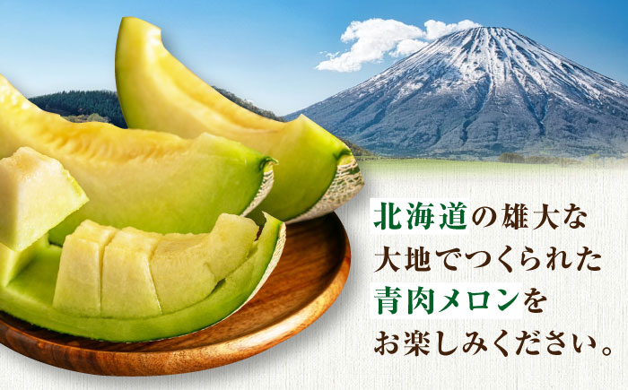  メロン 化粧箱入り フルーツ 果物 青肉 先行予約 常温 常温配送 北海道 