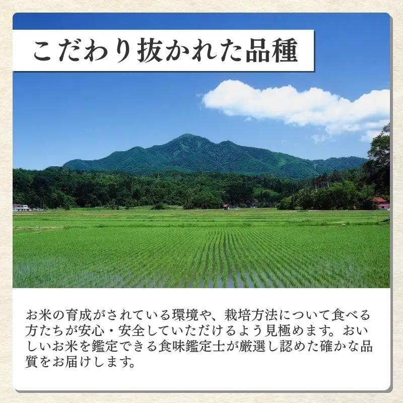 【定期便6か月】食味鑑定士厳選 コシヒカリ 無洗米 コシヒカリ 20kg