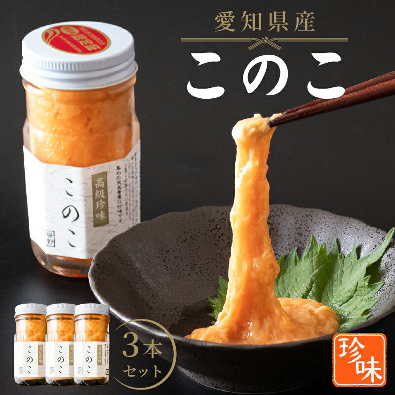【ふるさと納税】 このこ 240g ( 80g × 3本 ) ナマコ 塩辛 珍味 海の幸 海鮮 魚介 瓶 ご飯 ごはん 海の幸 つまみ おかず 酒 冷凍 愛知県 南知多町 人気 おすすめ 【離島不可】