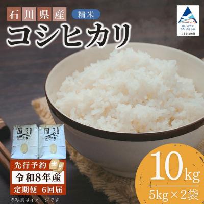 ふるさと納税 小松市 【先行予約】【6ヶ月定期便】令和8年産 石川県産コシヒカリ 精米 計10kg(5kg×2袋)×6回便