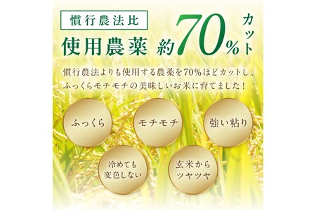 2025年産 京丹後米 特別栽培米コシヒカリ 20kg（玄米）