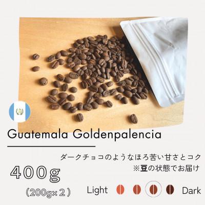 ふるさと納税 筑後市 【豆】グアテマラ　ゴールデンパレンシア　リオ　ウォッシュド(中深煎り)200g×2